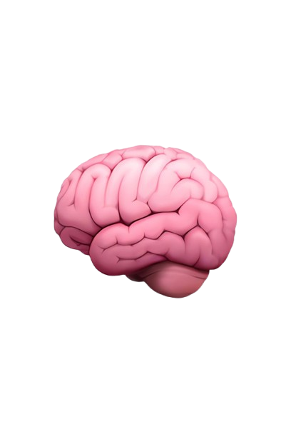 LeetCode Achievement